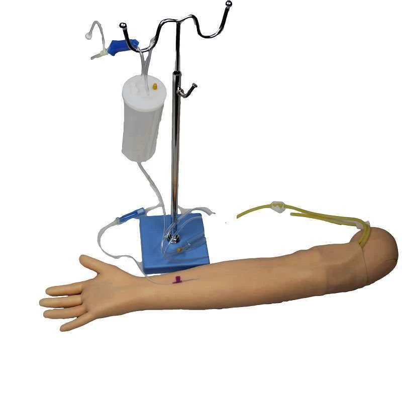

Тренировочная модель Venipuncture для рисования крови, обучающая модель для инъекций, инъекционная модель, инфузионная инъекционная форма
