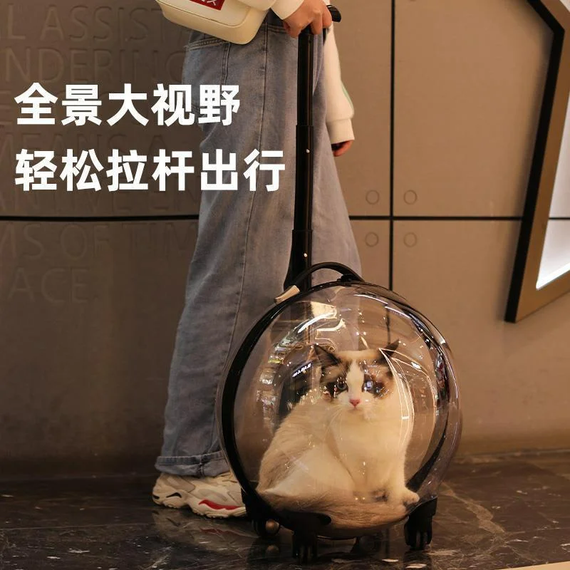 

Nordic Transparent Pet Strollers Creative Small Strollers for dogs Pet Backpack Cat Out Luggage Trolley Case Home Pet Supplies