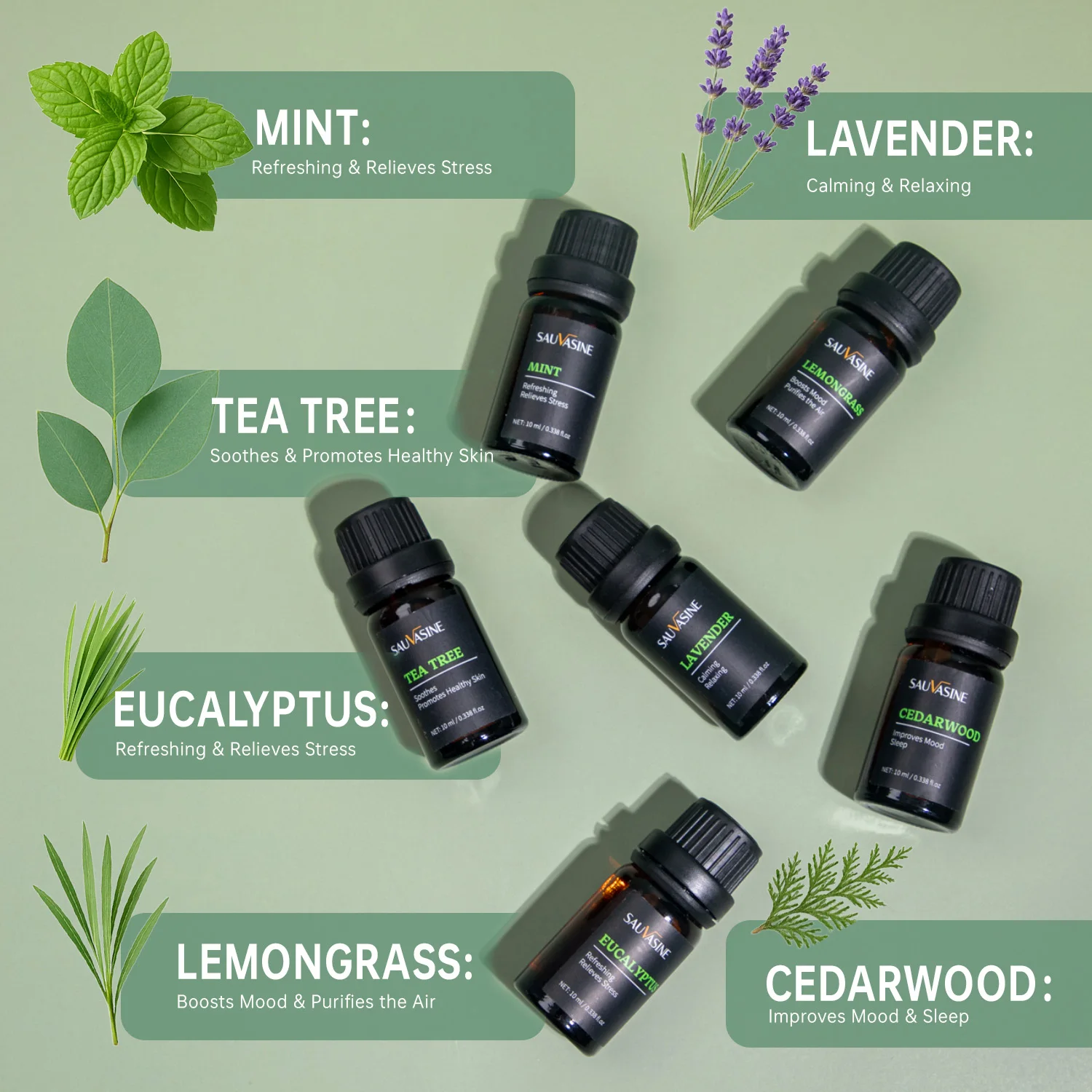 Aromatherapy Bliss Essential Oil Collection - 6 Scent Variety (10ml)