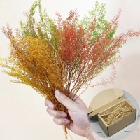 Simulation Dry Grass Model Diy Scene Materials For Making Military Sand Table/Train Railway Layout Diorama Kits 1Box 1
