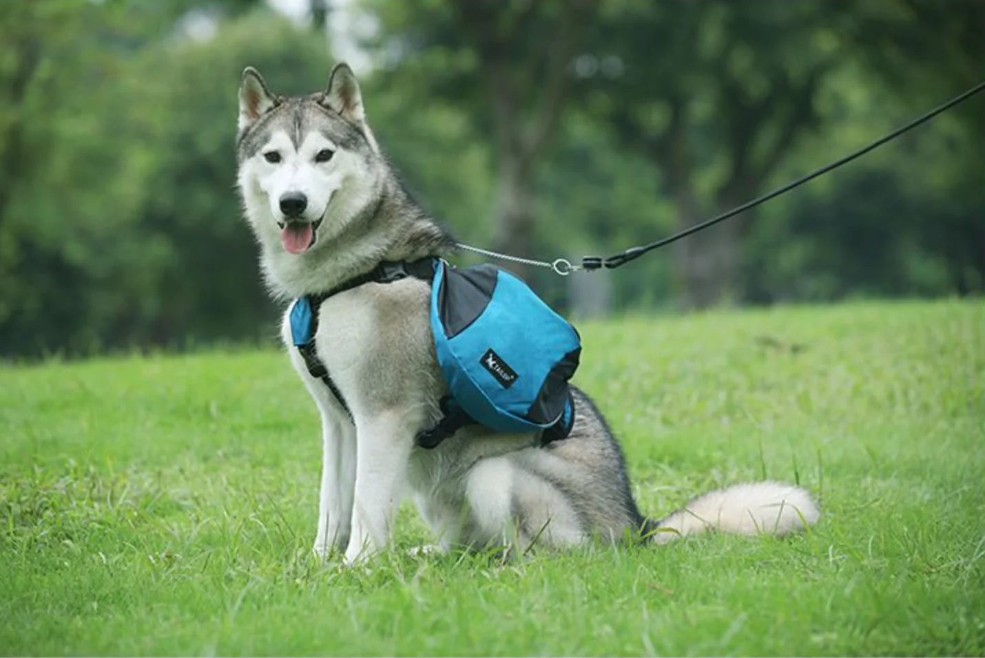 Pet Outdoor Backpack Large Dog Reflective Adjustable Saddle Bag Harness Carrier for Traveling Hiking Camping Safety pet carrier bag pet carrying bag pet backpack