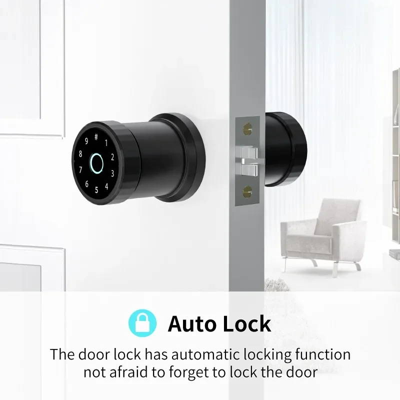 

Smart Lock Fingerprint Lock Password Lock Indoor Office Apartment Spherical Replacement Lock Tuya APP Lock