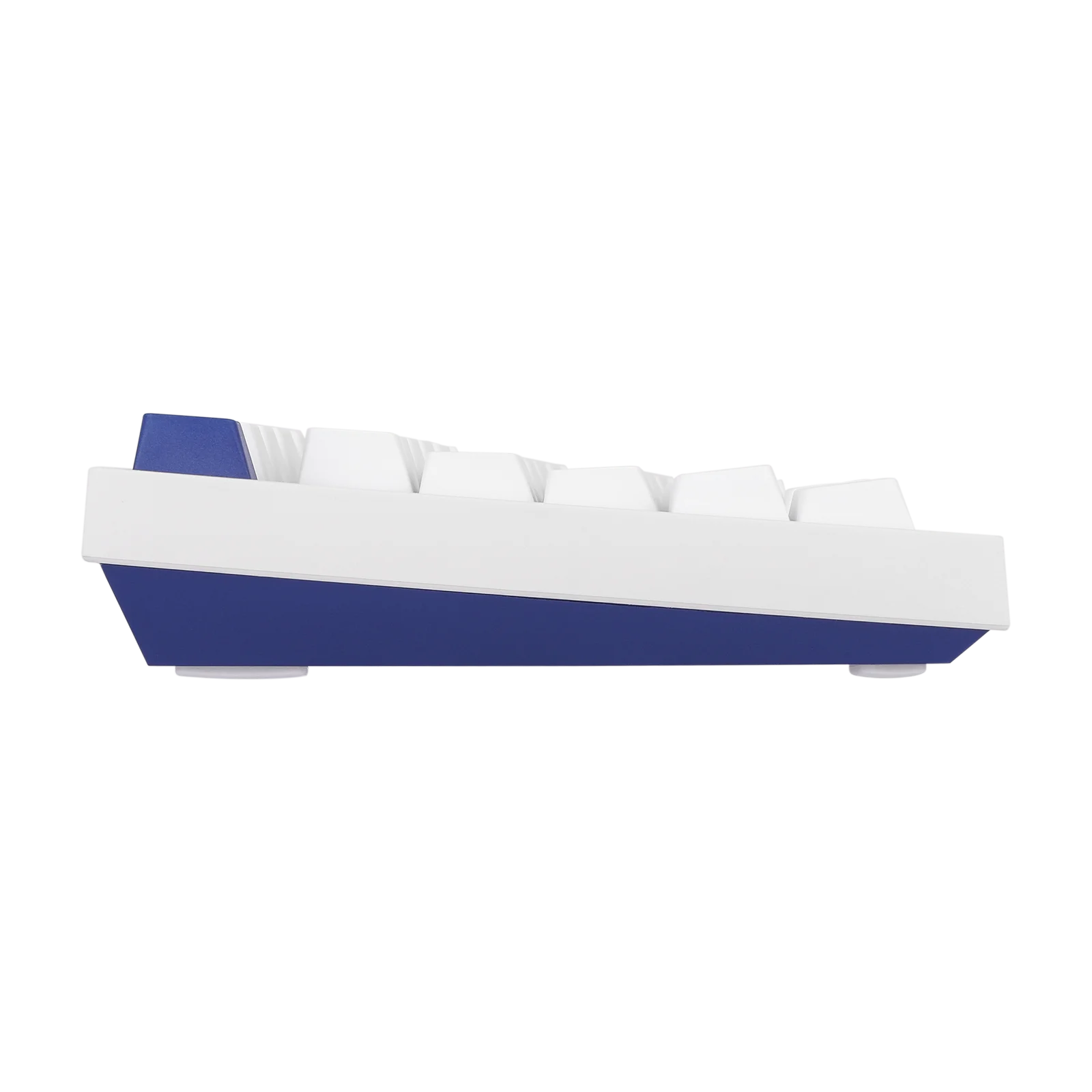 S94babc4df1314c38b41d8bab1849a0046.png