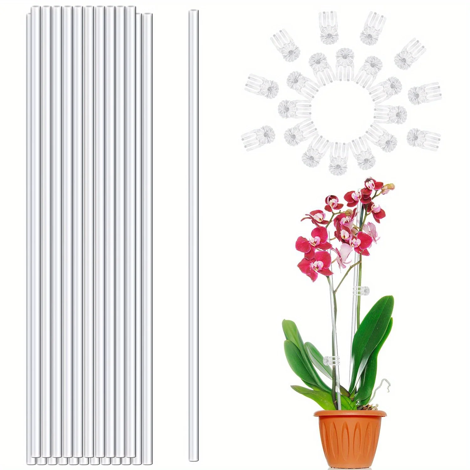 Plant Stakes 10 transparent multi-functional garden posts for orchids tomatoes flowers