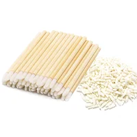 Bamboo Lip Applicators Disposable Lip Brush With Replacement Head Eco-friendly Lipstick Lip Gloss Wands Makeup Beauty Tool Kits 1