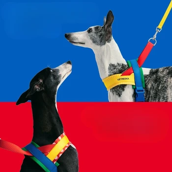 Dog Rope Collar Drag Harness for Dogs Multifunctional Tow Leash Big Medium Small Pet Leash Dog Pet Walks Drag Harness and Collar 2