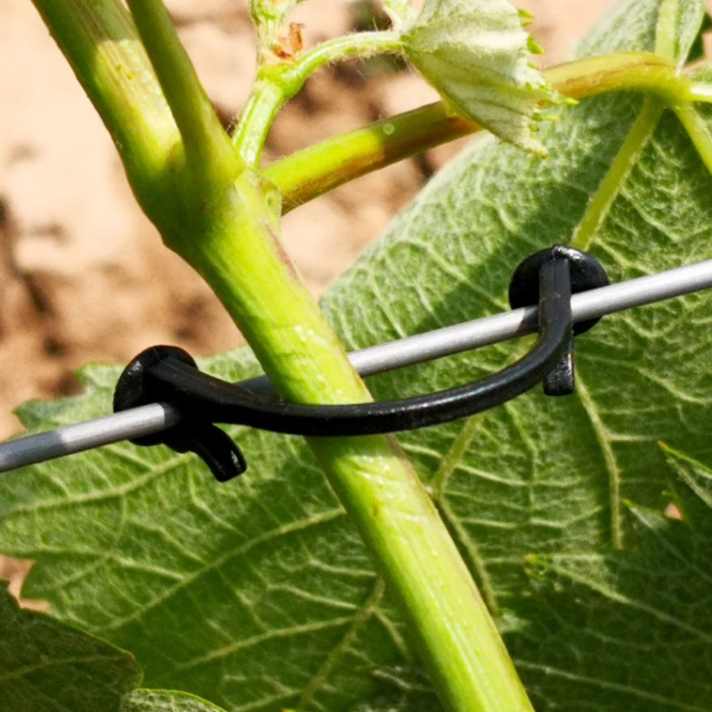 100PCS Plastic Plant Clips Plants Grafting Fixing Tool for Vegetable Fruit Grape Vine Climbing Support Garden Reusable Supplies