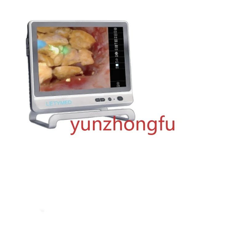 

Uretero-Renoscope 2.5mm 2.8mm 7.5fr 9.5fr Flexible Disposable Ureteroscope Single Use Urology Endoscope Digital Video