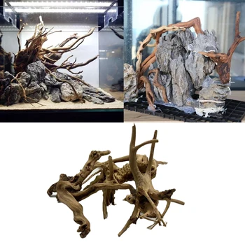 Natural Tree Trunk Decoration 2