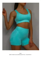 Women's Seamless Yoga Set Hollow Back Bra and Shorts