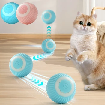Interactive Cat Toys 1