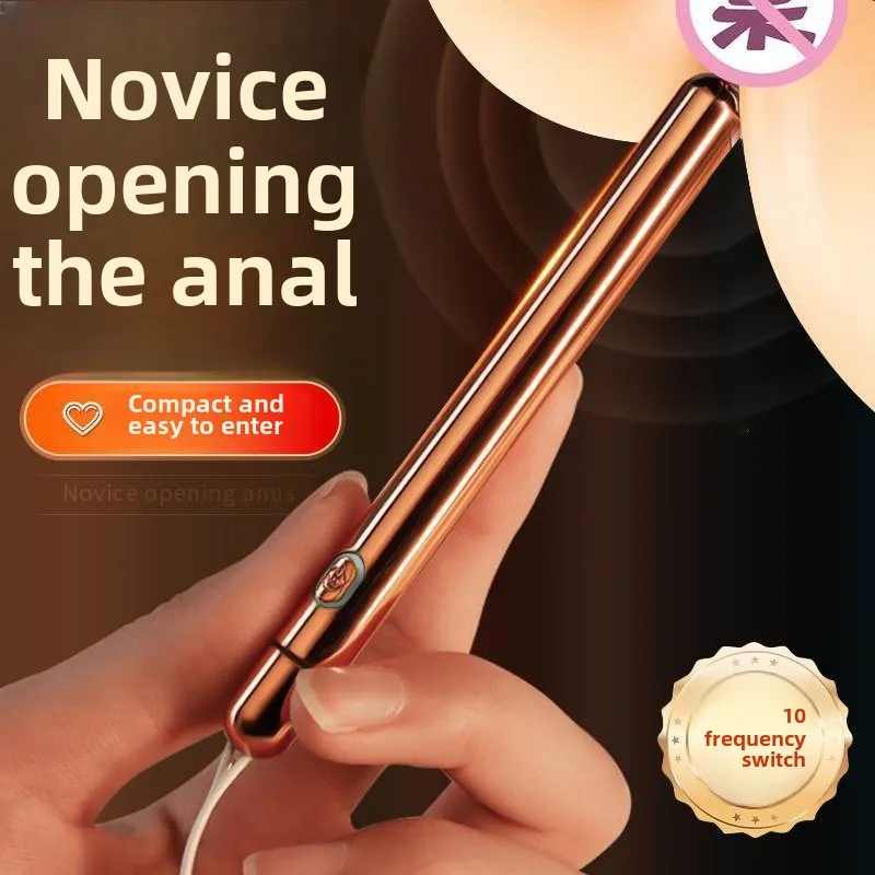Mini-Analvibrator, Prostata-Massage-Sexspielzeug für Frauen und Männer, vibrierender Buttplug, leistungsstarker Klitorisstimulator, Bullet-Vibrator für Erwachsene_voghion.com