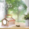 Children's Insect Cage Kids Exploration Critter Catcher Bugs Catching Kit outside Tools for Educational Camping 3