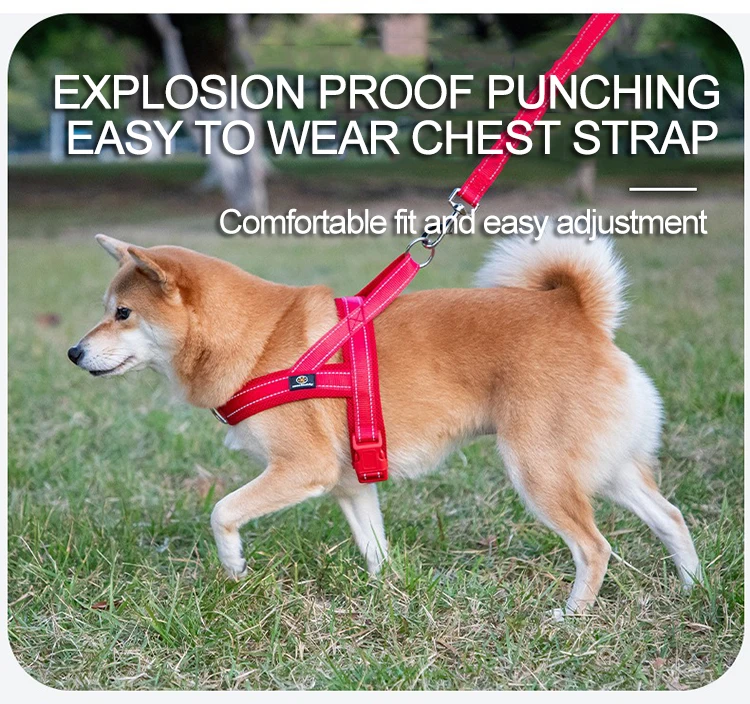Adjustable Nylon Dog Harness For Small Breeds Chest Vest_voghion.com