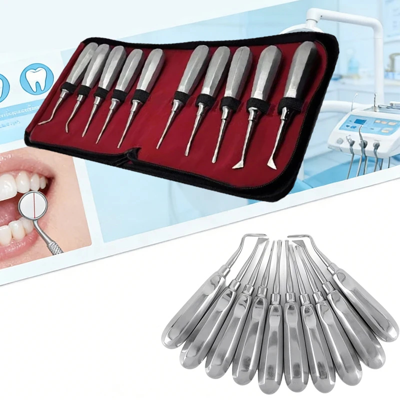 10Pcs Dental Elevator Kit Stainless Steel Tooth Extractor Set Straight/Curved Root Tip Lifter Dentist Surgical Instruments
