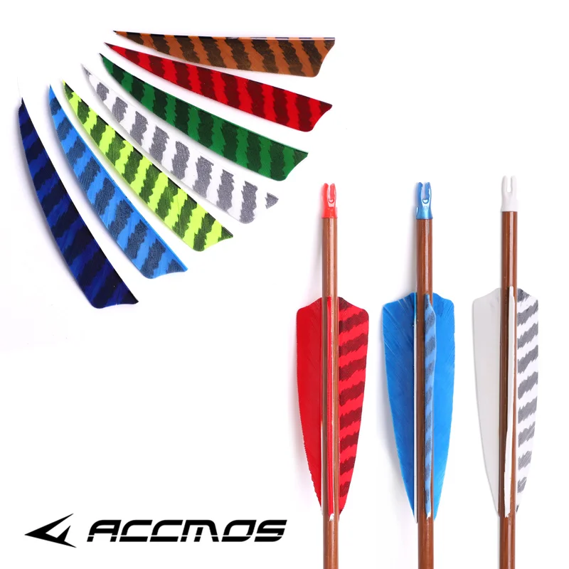 Plumes Pour Flèches De Tir à L'arc – Naturelles Barrées – Parabolique – Aile Droite – Lot De 25