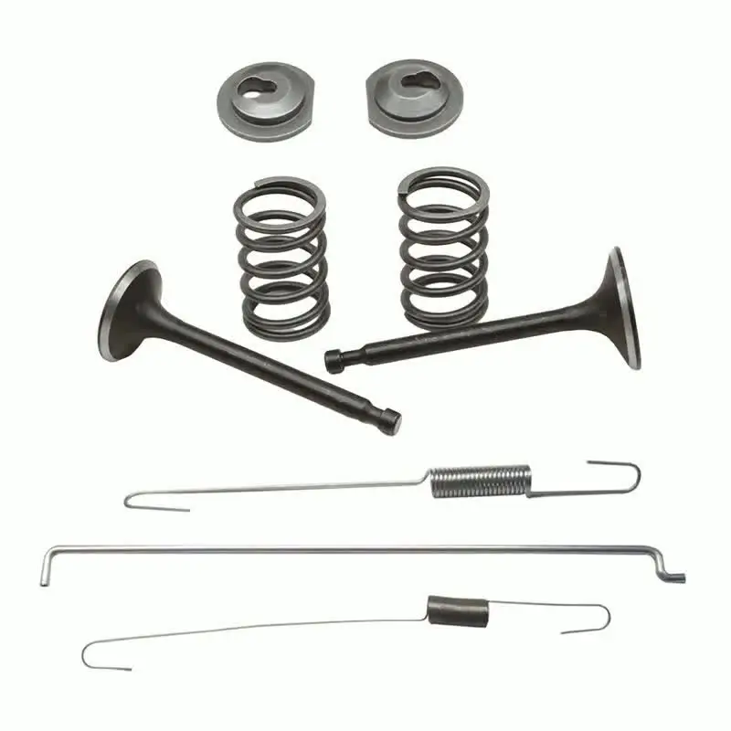 Kit Complet Ressorts & Soupapes + Collets Pour Moteur HONDA GX160 GX200 5.5-6.5HP – 168F 170F – Qualité Fiable & Économique