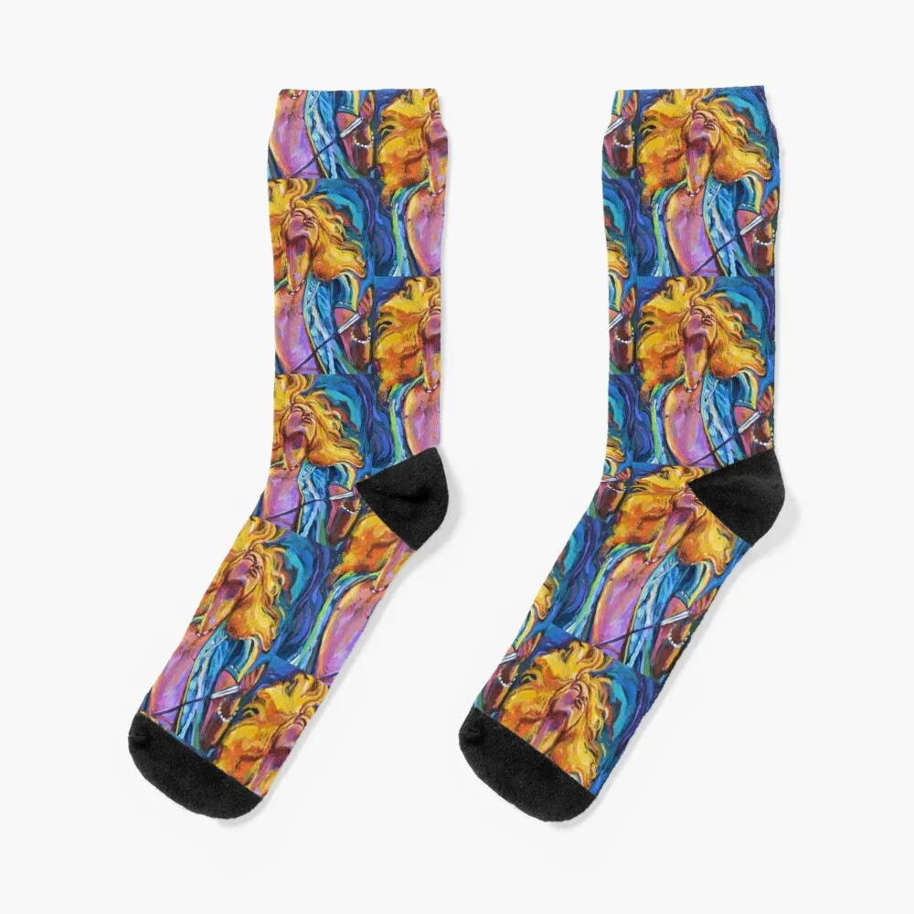 

Robert Plant Wild Hair Portrait Socks man Lots designer brand halloween Socks For Women Men's