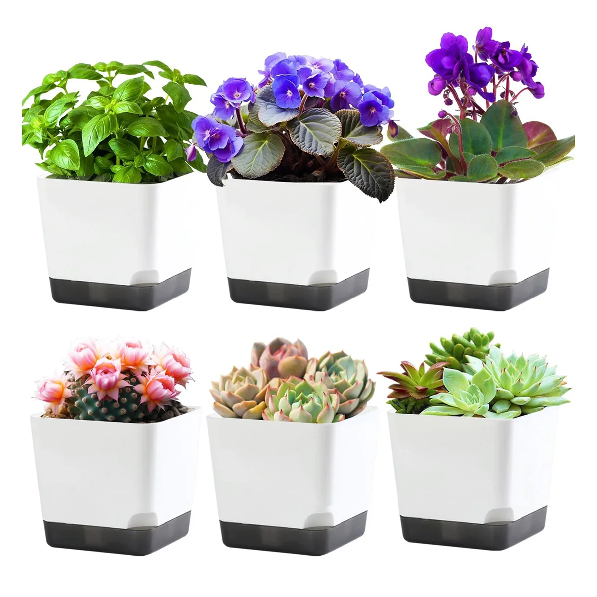 

3.9 Inch Succulent Pots with Drainage Hole, 6 Pack Style Small Plant Pots Flower Planters for Indoor Plants Gift Idea