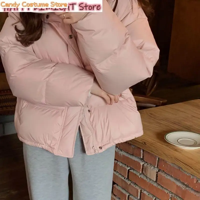 Women Warm Overcoat Winter Down Coat Parka Female  New Winter Duck Down Coat Parka Short Feather Warm Puffer Jacket