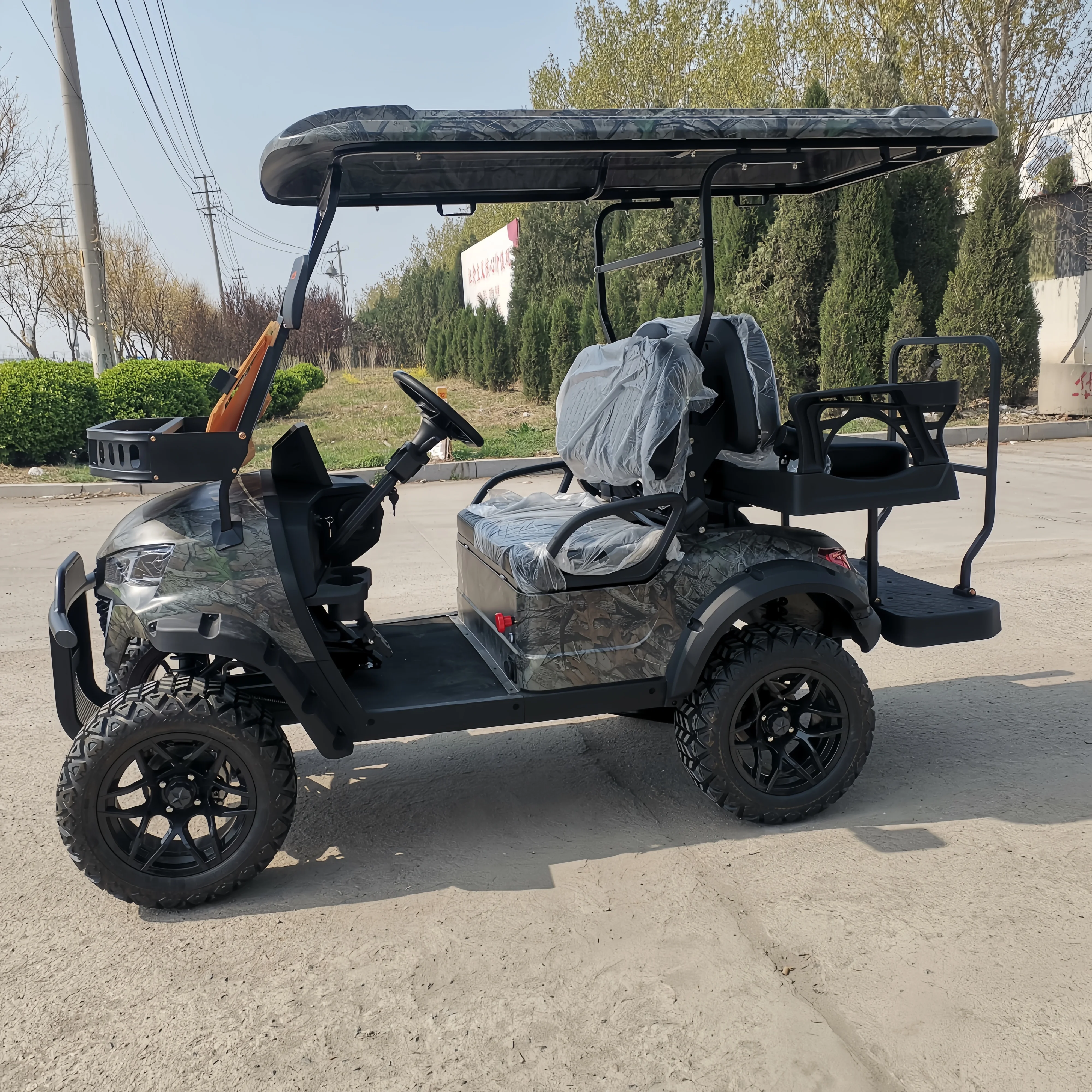 China Hot Sale Left and Right Hand Driving Golf Cart 2 Seats 4 Wheels 48V Mini Luxury Golf Cart