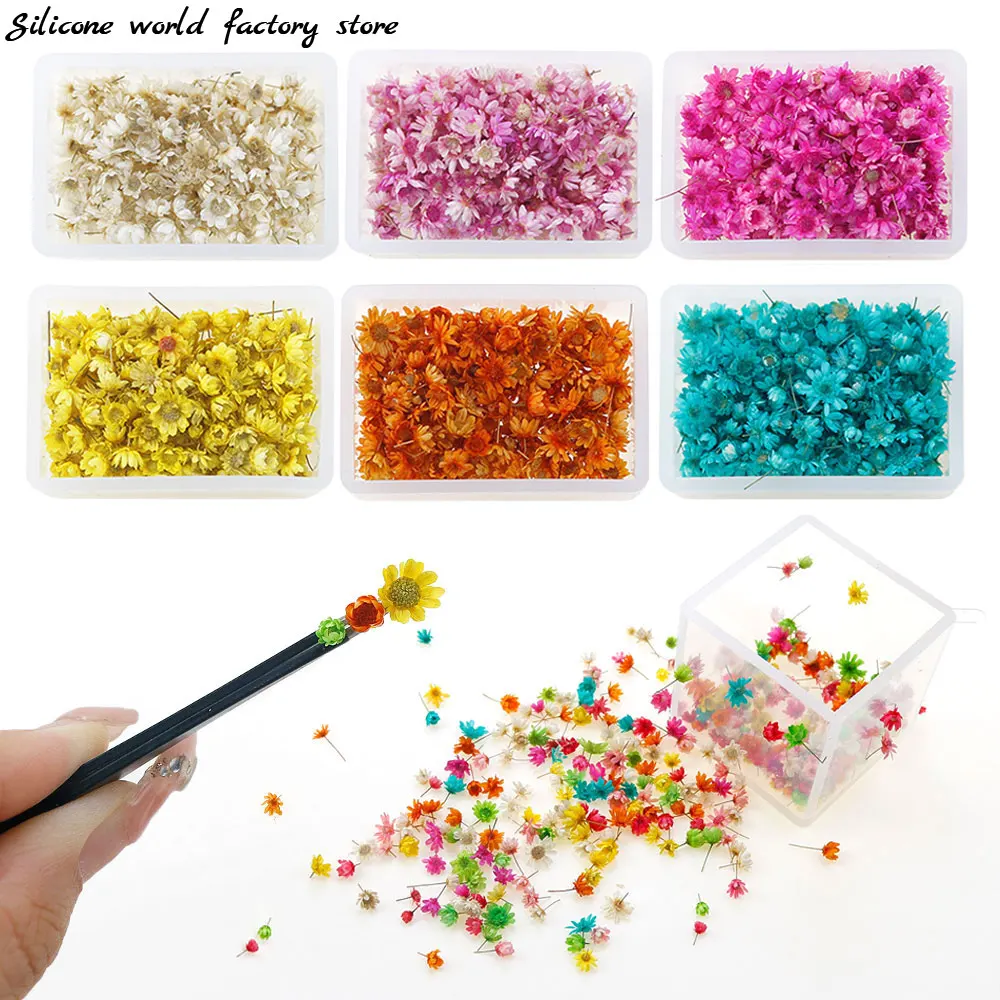 

Silicone World 1/2g Dried Flowers Little Star Flower For DIY Epoxy Resin Jewelry Nail Making Resin Mold Filling Decoration Art