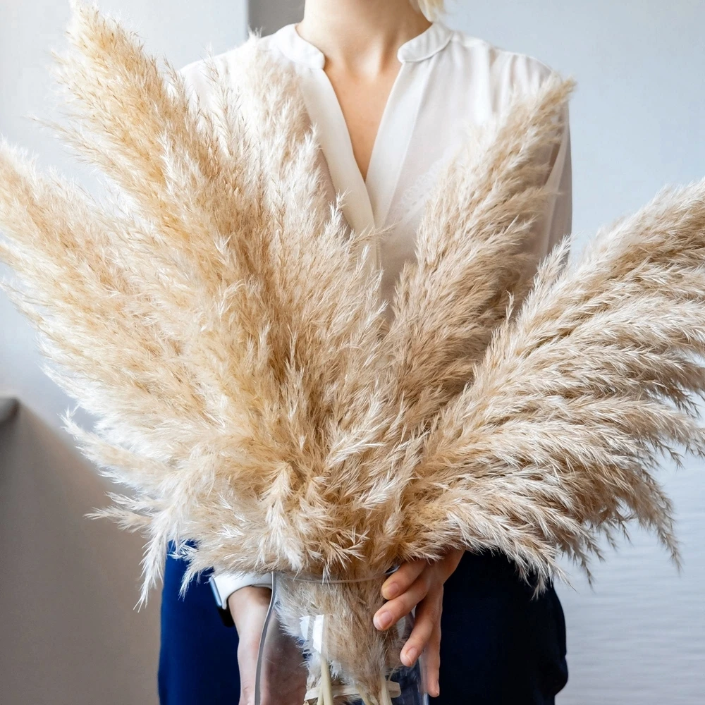 Halloween Faux Pampas Grass 120cm 60cm, 5 stems