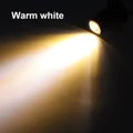 White Shell