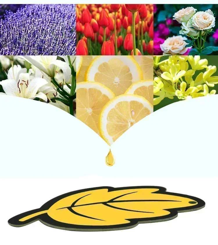 6PCS Scar Interior Car Air Freshener Natural Scented Tea Paper