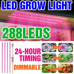 5V LED Grow Lights USB Phyto Lamp Full Spectrum Led Phytolamp Hydroponic Indoor Grow Light Greenhouse Flower Seeds Grow Lighting