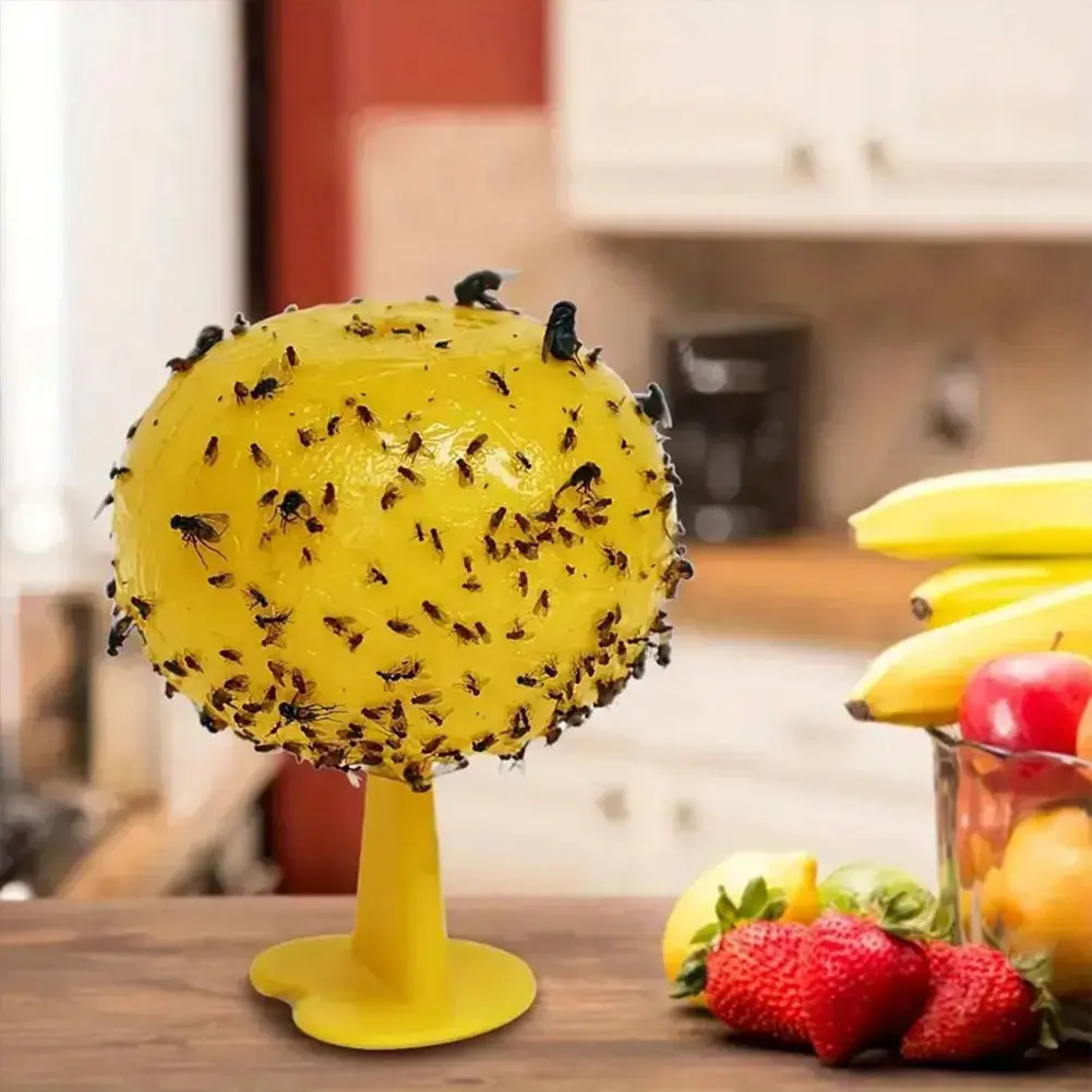 Reusable Outdoor Fruit Fly and Mosquito Trap
