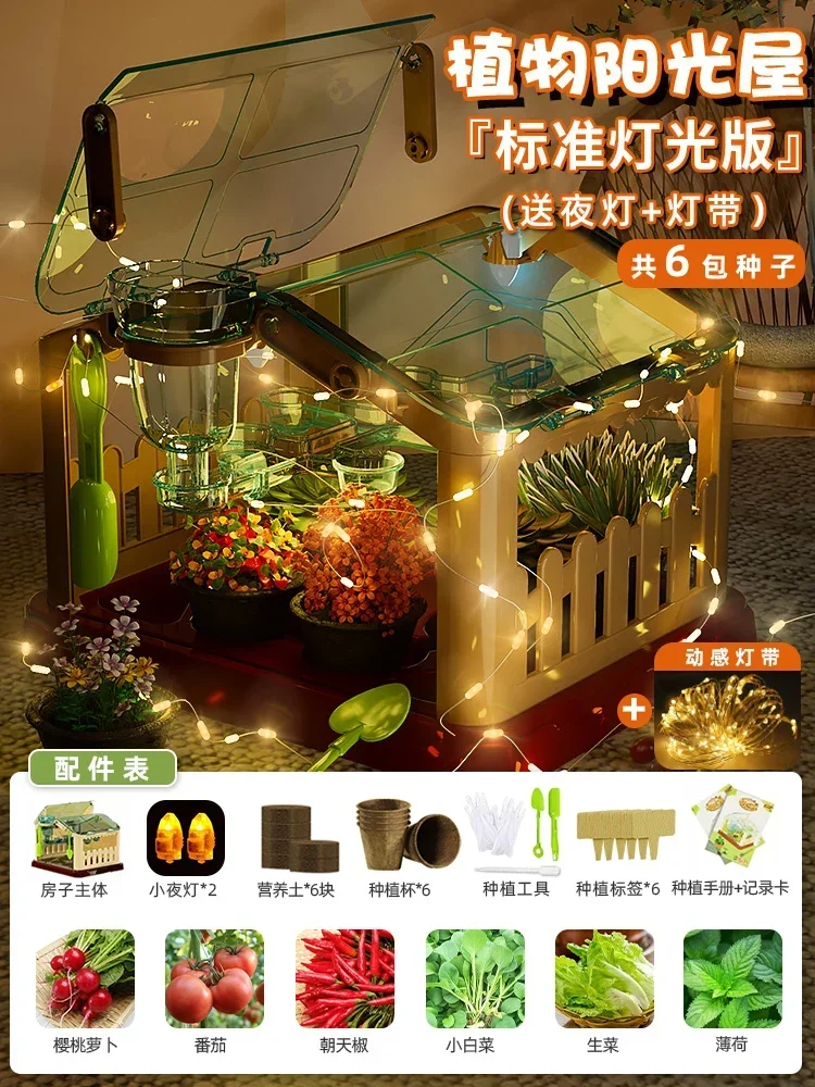 منزل زراعة أشعة الشمس للأطفال تجربة علمية صندوق مر...