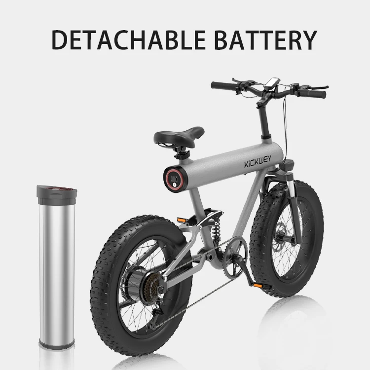 Full Suspension Ebik Kids Electric Bike 6