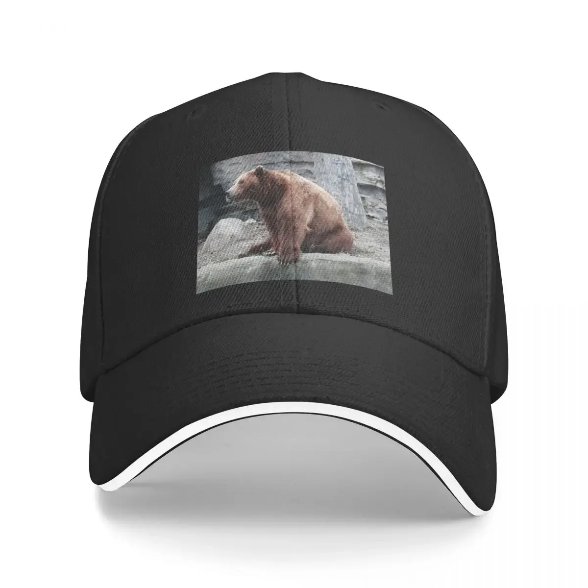

New Big Paw Baseball Cap Caps Dropshipping Women Hat Men's