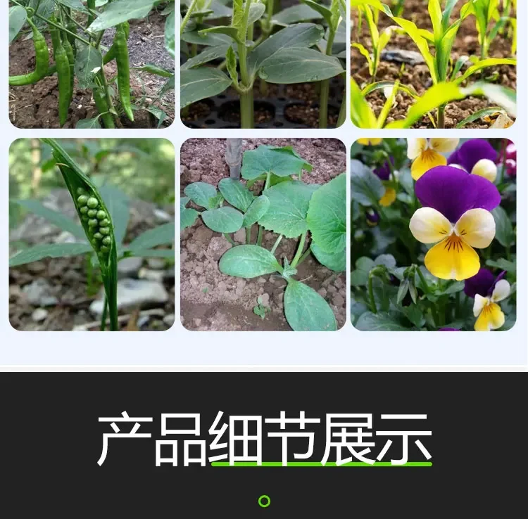 Agricultural Seedling Planter Planting Tools Farming Tools Corn Growing Vegetables Seedling Transporter Agriculture