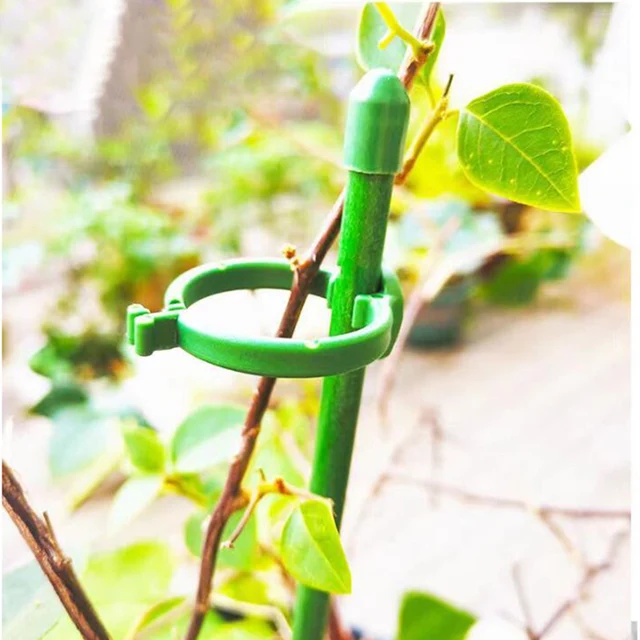 Kerti Növény Cserepes Támogató Virágállvány Tartó Tétes Állvány Rögzítő Szerszám Kertészeti Készletek Szár Cserje Orchidea Bonsai -Hoz - Image 4