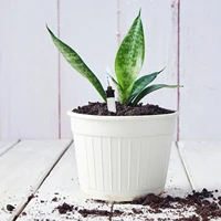 4pcs Visual Window Water Shortage Outdoor Plant Pot Meter Gardening Water Level Indicators 3