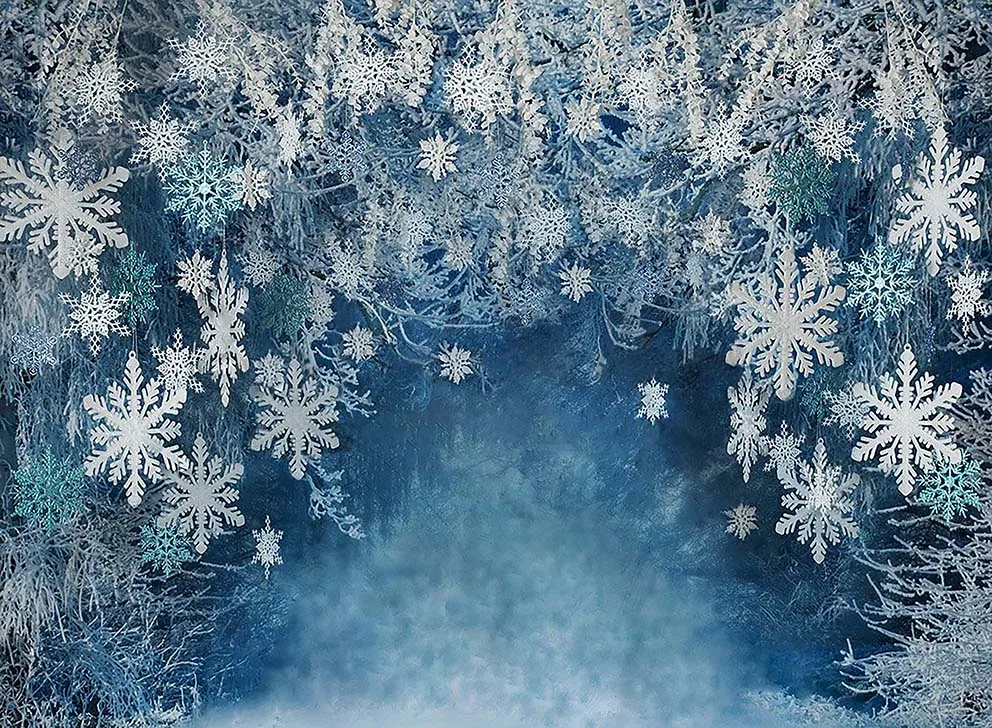 Snow Bokeh Backdrop For Photography Winter Snowflake Glitter Dots Photo