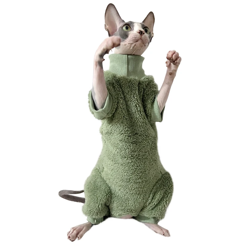 따뜻한 양모 털 없는 고양이 옷 겨울 럭셔리 스핑크스 터틀넥 스웨터 새끼 고양이용 데본 코스튬 애완동물 액세서리