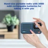 CHOYONG A8W Portable Internet Radio,Smart WIFI FM Receiver with 4K+ Pre-stored Stations, Alarm Clock, Micro SD,Voice Control 4