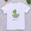Cartoon Saurus Print Matching Family Outfits Tops for Birthday Boy Dinosaur Party Family Look T-shirt Dad Mom Bro Sis Tee Shirt 4