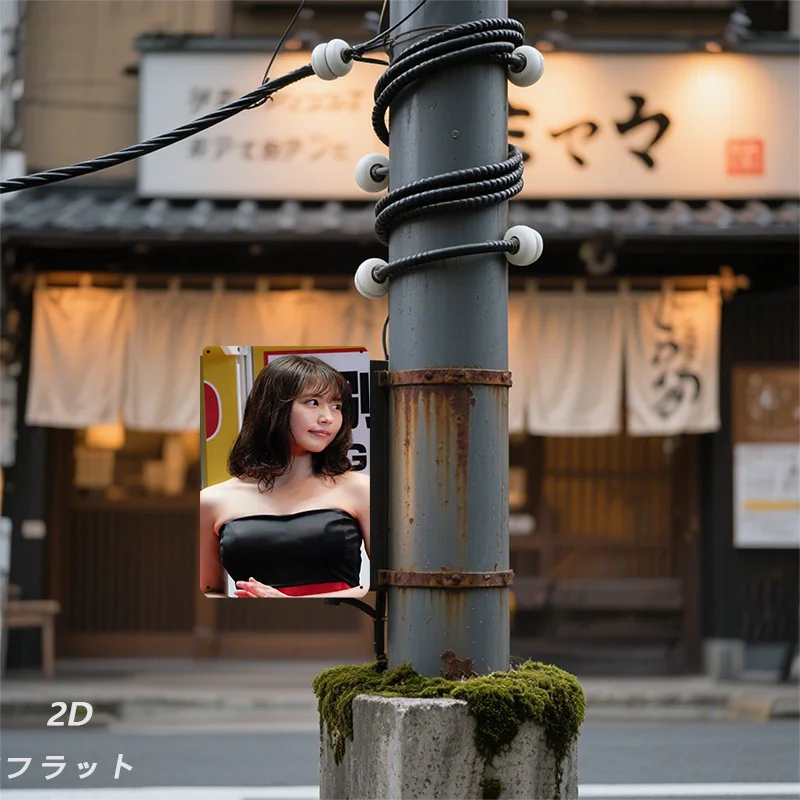 2D 플랫 - 1개 2D 플랫 포스터, 2D 플랫 1개 레트로 철제 사인, 금속 로고(8인치*12인치, 20*30cm) 세련된 여성 초상화 예술 그림