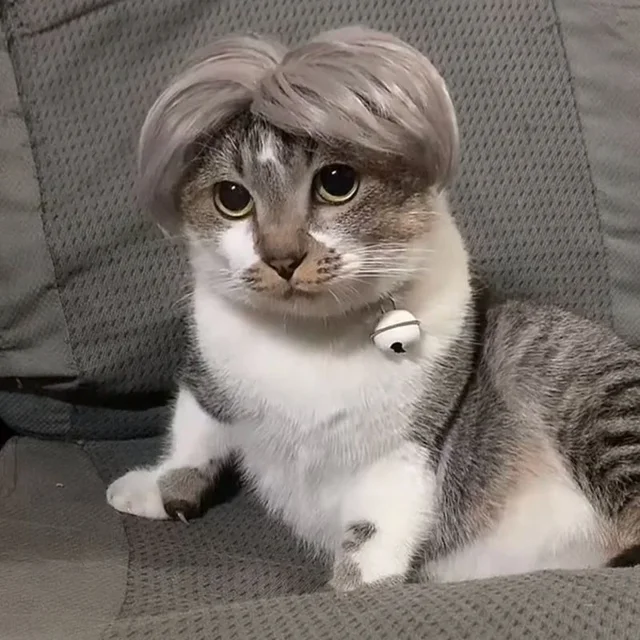 Pet Cat Dog Cosplay Wig Weird Funny Wig Personalized Holiday Party Dress Up Dog Wig Cute Pet Silver Hair Accessories