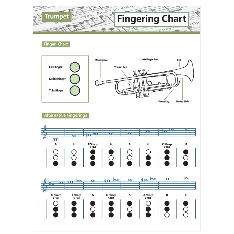 

Trumpet Practice Chart Chord Trumpet Fingering Chart Trumpet Fingering Chart Music Chords Poster