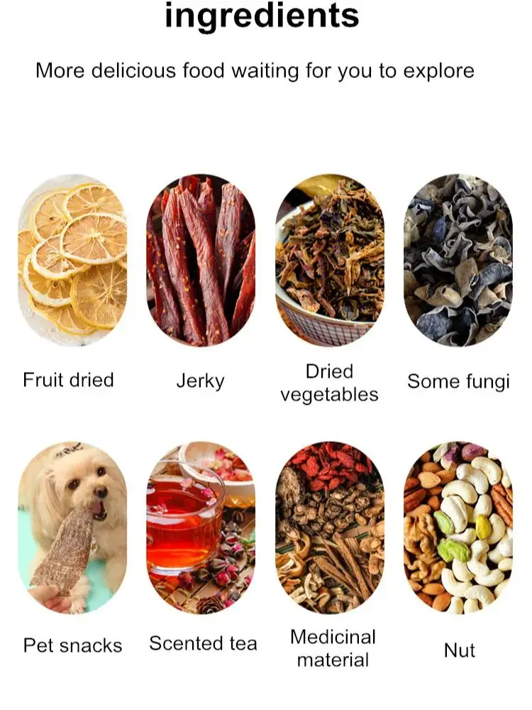 10 Layers Home Use and Commercial Use 220V Fruit Dehydrator Vegetable Snacks Meat Medicinal Materials Fruit Smart Food Air Dryer
