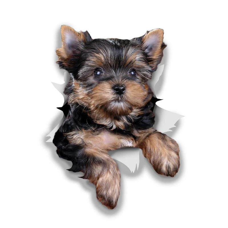 

Cute Yorkshire Terrier Dog Car Sticker Vinyl Decal Waterproof Accessories on Bumper Rear Window Laptop