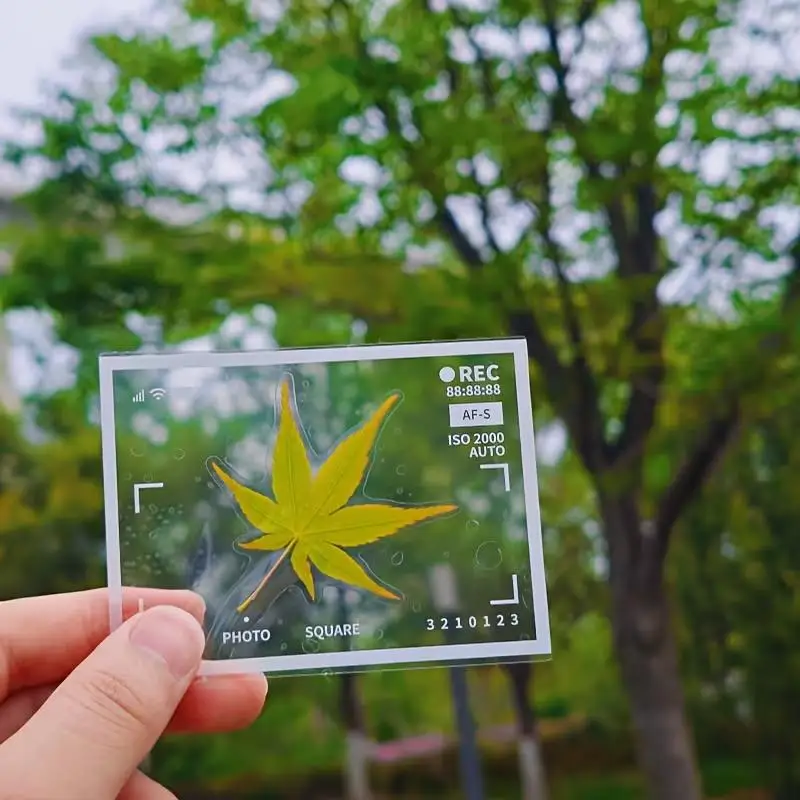 20개 DIY 투명 표본 북마크 플라스틱 프레임, 압화, 꽃, 압화 허브라리움, 저널, 스크랩북킹용