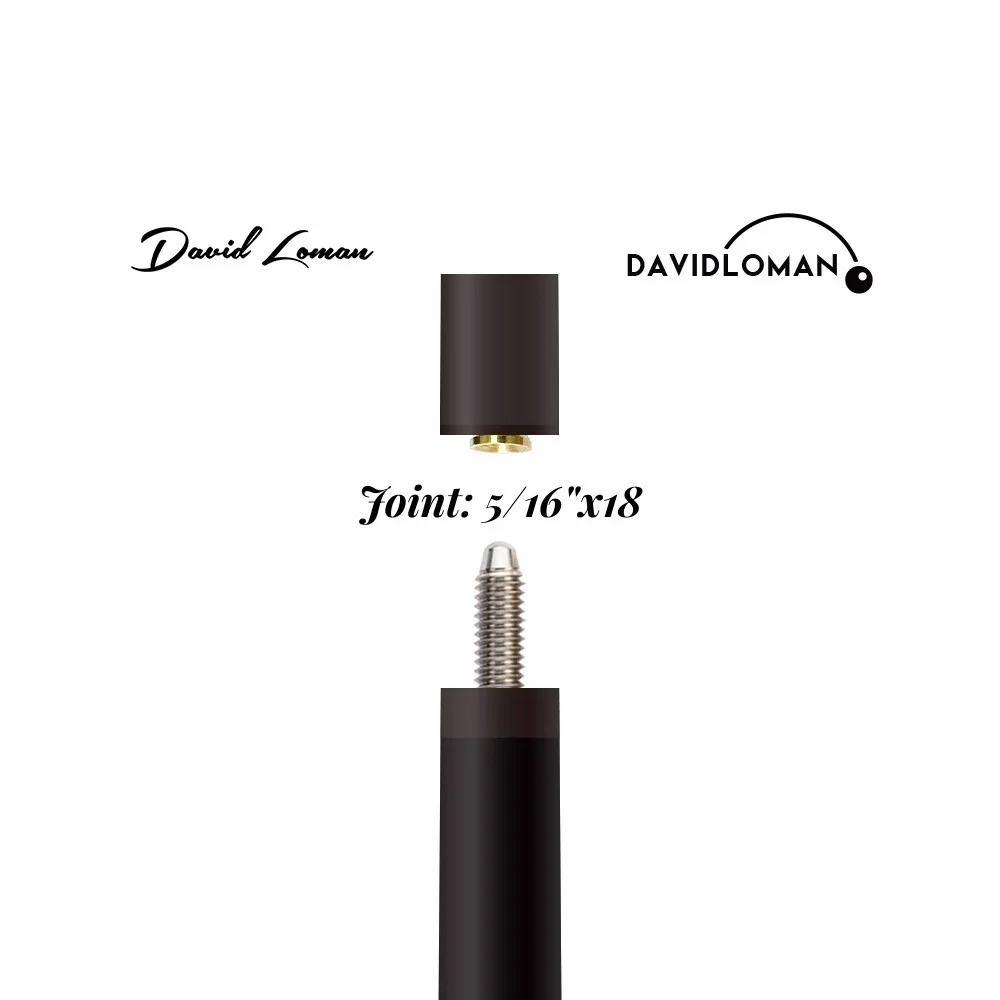 DAVID LOMAN Carbon SHAFT 3/8-11山 David Loman 29