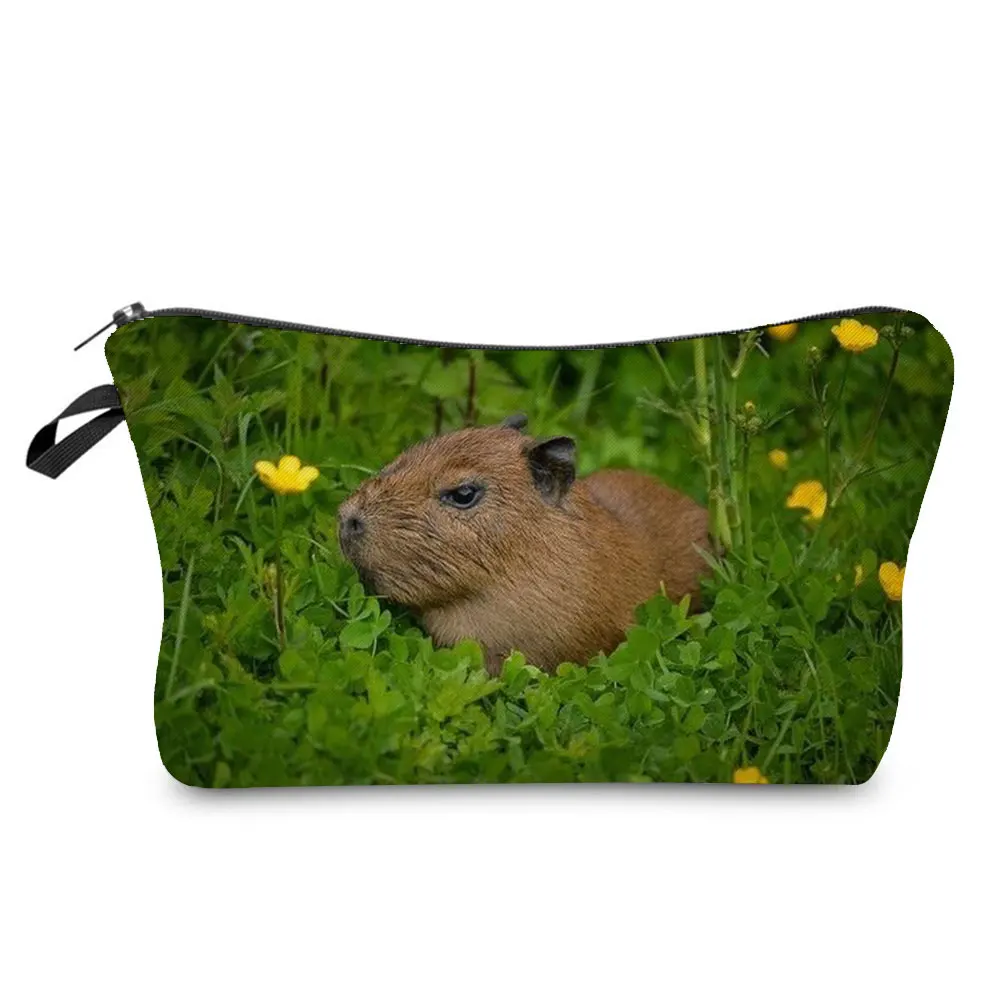 Cosmetische tas voor meisjes, Capybara, make-uptas met ritssluiting, voor vriendin, capibara, cadeaus voor verjaardagen, draagbare toilettas voor dames, voor reizen, dagelijks leven, schattig