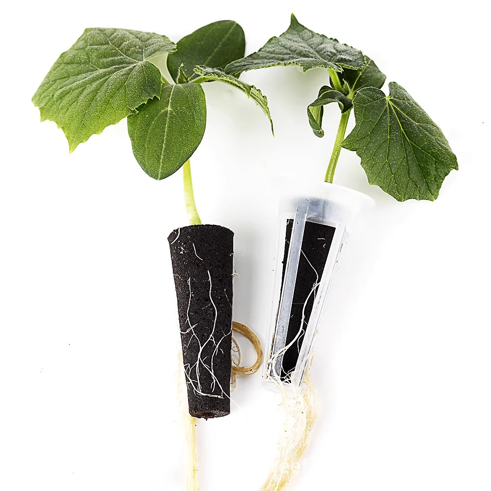 10/30/50Pcs Seedling Starter Sponge Kit Supplemental Growth Sponge Hydroponic Indoor Garden Germination System Gardening